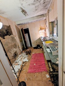Renovation cost